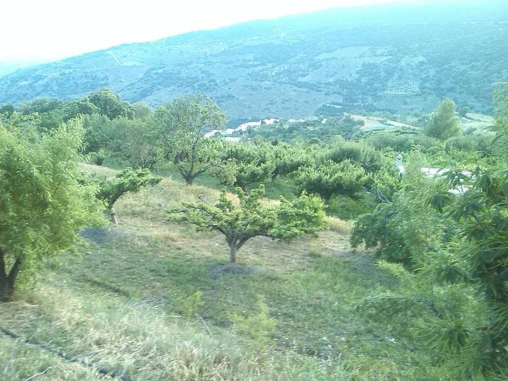 מלון El Castanuelo Bayárcal מראה חיצוני תמונה